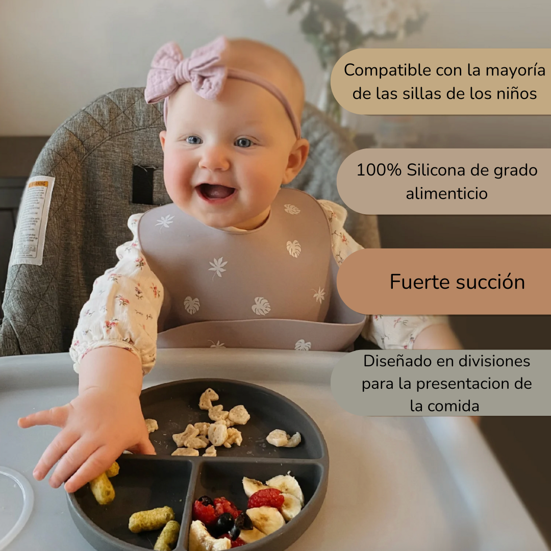 Platos con succión (2pack)